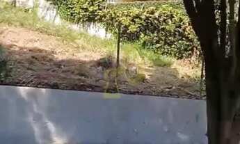 Imagem 3: TERRENO NO ALTO DOS PINHEIROS