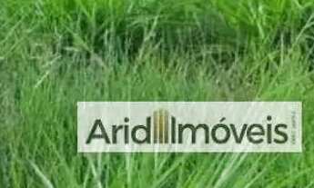 Imagem 5: Terreno à venda, 253 m² por R$ 239.000 - Residencial Maria Julia - São José do Rio Preto/S