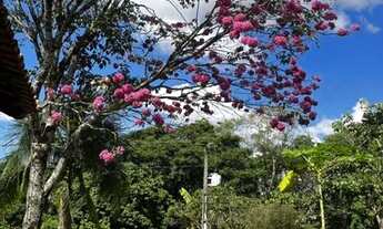 Imagem: Chácara com 6,8 hectares no DF