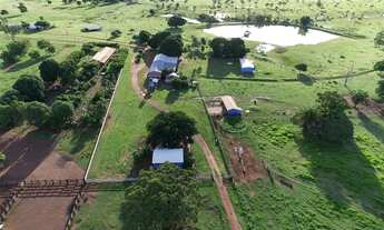 Imagem 4: Fazenda dupla aptidão Mato Grosso