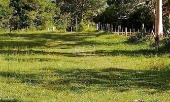 Imagem 5: Sítio para Venda - 50000m², 0 dormitórios, Viamão