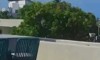 Imagem 4: Imóvel para venda com 450 metros quadrados com 4 quartos em Serrambi - Ipojuca - PE