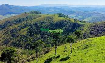 Imagem 4: SÍTIO SEM BENFEITORIAS Á VENDA EM GUARATINGUETÁ-SP