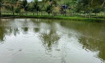 Imagem 7: Venda-se está propriedade de 10,5 (dês alqueires e meio) no Município de Cachoeiro de Ita