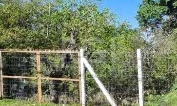 Imagem 3: Vende terreno em Viamão 644m² podendo ser feito construção residencial ou comercial, com 1