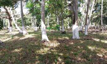 Imagem: Terreno no Povoado Riacho Velho em Marechal