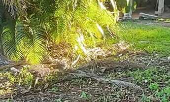Imagem 4: Chácara em Rodovia Álvaro Barbosa Lima - Bairro dos Guedes - Tremembé/SP