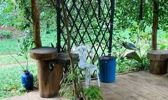 Imagem 2: Chácara com 5 hectares no Morro da Canastra em Farroupilha com casa, árvores frutíferas, á