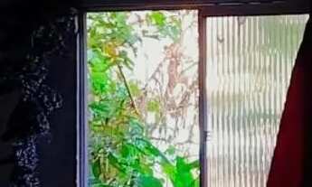 Imagem 4: Vendo casa na rua 13 de maio bairro Pau Da Lima *80