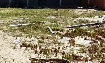 Imagem: 2 Casa no xexé