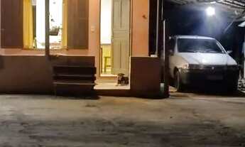 Imagem 2: Vendo sítio ou troco x casa em Ribeirão preto