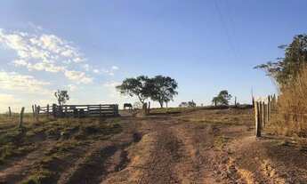 Imagem 7: Fazenda à venda entre Bom Jardim e Aragarças/GO 110,5 Alqueires