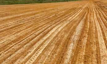 Imagem 2: Fazenda MG Bonfinópolis