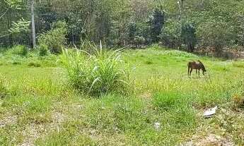 Imagem 3: TERRENO - JARDIM JUREMA - SP