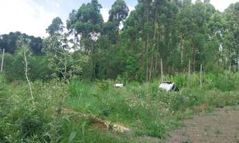 Imagem 3: Chácara com 2.000 metros no Morro Grande em Rolante