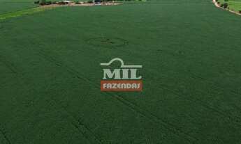 Imagem 2: Fazenda 50 alqueires (242 hectares) Pontalina - Go