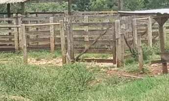 Imagem: Chácara de 7 Alqueires em Heitoraí-GO