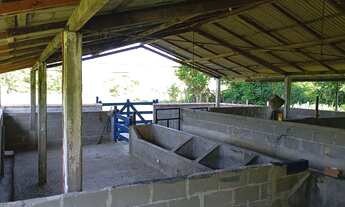 Imagem 3: Vende-se sítio em Conceição de Macabu