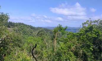 Imagem 5: SÍTIO 24 HECTARES COM VISTA PANORÂMICA - ENTRADA + PARCELAMENTO DIRETO