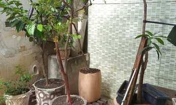 Imagem 4: Imóvel para venda com 255 m² com 3 quartos em Campo Grande - Rio de Janeiro - RJ