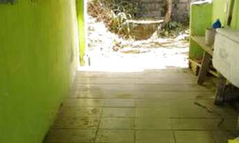 Imagem 3: Muriqui com vista do mar