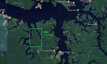 Imagem 6: Terreno no lago de acajatuba de frete para o Rio Negro