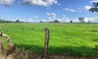 Imagem 3: Sítio de 5 alqueires em Iporá Goiás