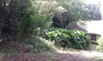 Imagem 5: Porto Alegre - Terreno Padrão - Ponta Grossa