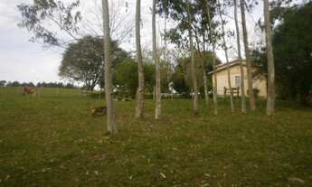 Imagem 7: Porto Alegre - Sítio - Lami