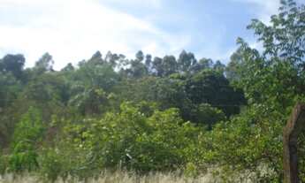 Imagem 7: Vendo Chácara 10.000 m2 na Zona Urbana de Dourados-Ms