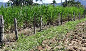 Imagem 4: Chácara em Nova Hartz