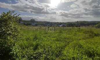 Imagem 7: Porto Alegre - Terreno Padrão - Campo Novo