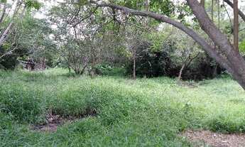 Imagem 7: Porto Alegre - Terreno Padrão - Lami