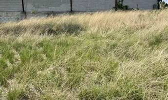 Imagem 4: Vendo terreno em Santa Cruz