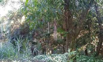 Imagem 4: AREA - BARRA FUNDA - SP