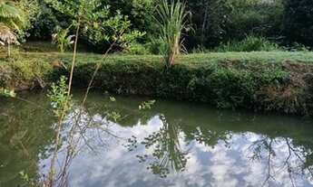Imagem 2: Chácara na beira do asfalto 20 km de Parauapebas!