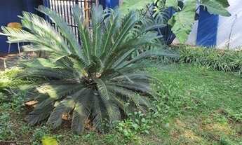 Imagem: CASA TÉRREA - SANTO AMARO - SP