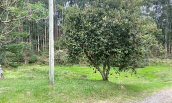Imagem 6: Lindo terreno em Rio Rufino