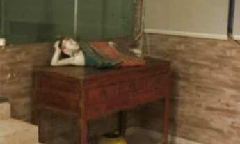 Imagem 4: COBERTURA - MOEMA PÁSSAROS - SP