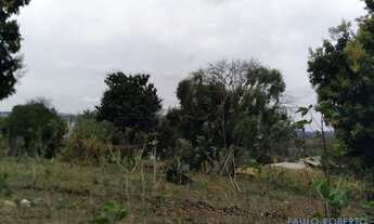 Imagem 5: TERRENO - PINHEIRINHO - SP