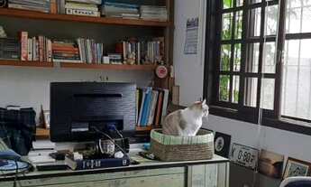 Imagem 3: Caraguatatuba - Casa Padrão - Jardim Brasil