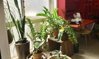 Imagem 5: CONJ. COMERCIAL - JARDIM PAULISTA - SP