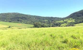 Imagem 5: Fazenda/Sítio/Chácara para venda com 20000 metros quadrados em Lomba Grande - Novo Hamburg