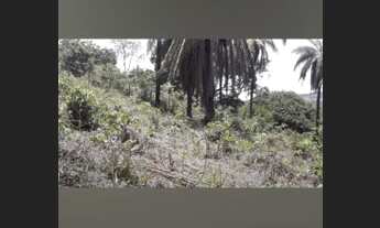 Imagem 6: Vende-se terreno em Macacos-MG á 25 minutos de Belo Horizonte