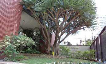 Imagem 7: CONJ. COMERCIAL - MOEMA ÍNDIOS - SP