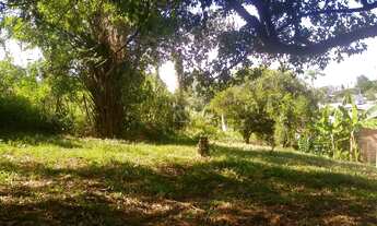 Imagem 4: GRAVATAí - Padrão - Centro