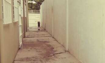 Imagem 4: PRÉDIO - BUTANTÃ - SP