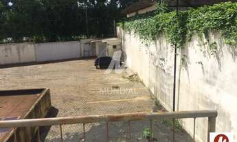 Imagem 4: Salão/Galpão (salão - térreo