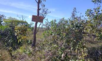 Imagem 2: Fazendinha 5 Hectares a 16k de 3 Marias