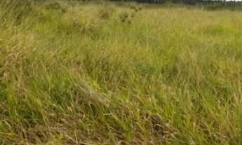 Imagem 4: Residencial Filadélfia